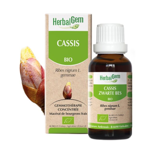 CASSIS BIO 30 ML 30.0 ml